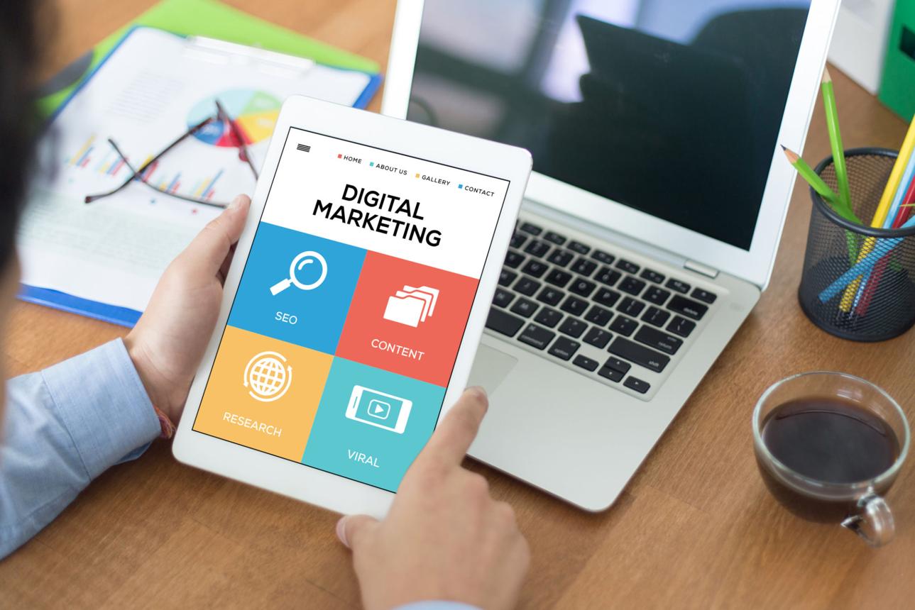 Stripping the Noise: Designing a Visual Identity That Dictates Premium Market Pricing